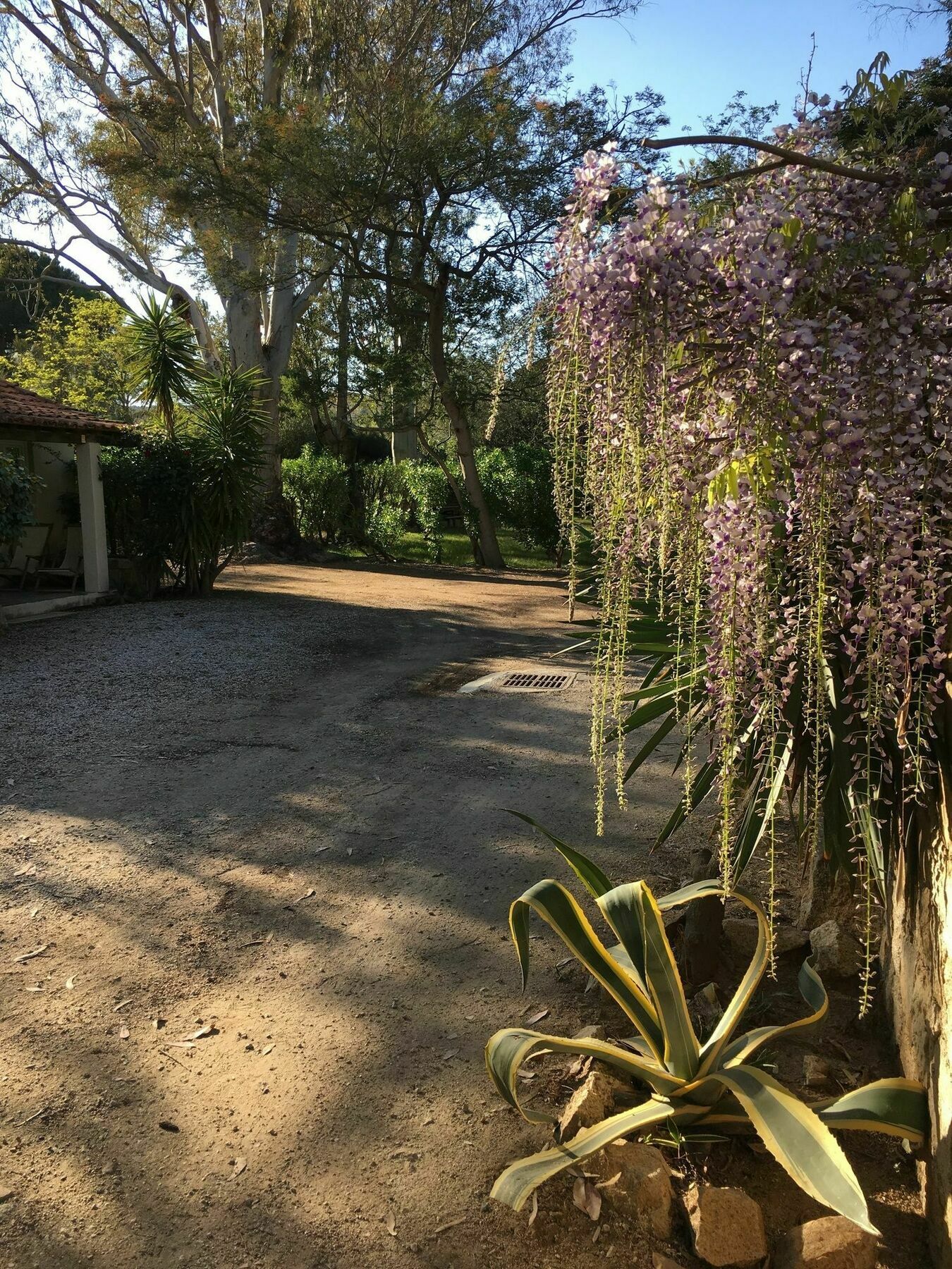 Camping La Cle Des Champs Calvi  Exteriér fotografie